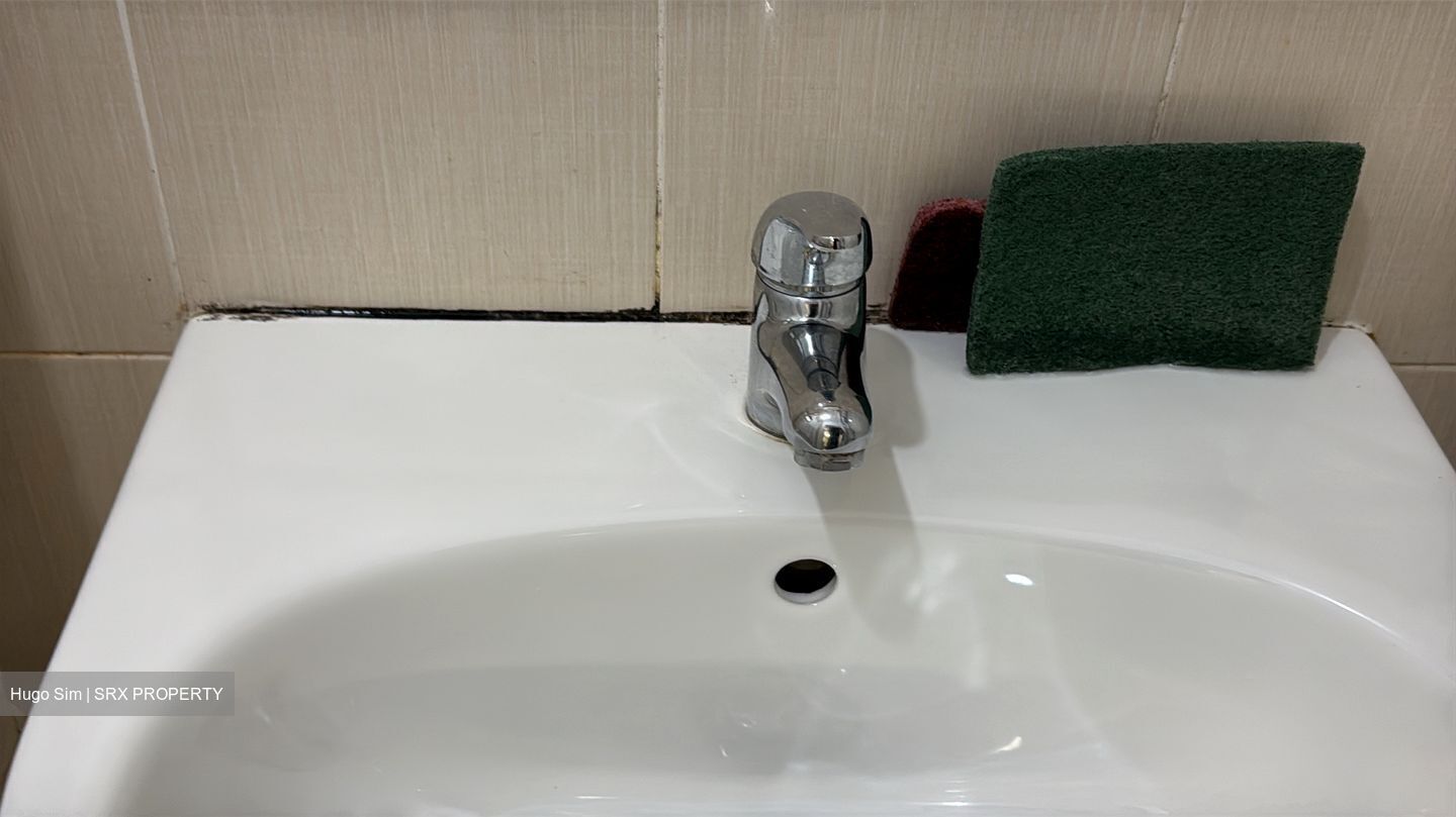 Blk 236 Choa Chu Kang Central (Choa Chu Kang), HDB 4 Rooms #504116631